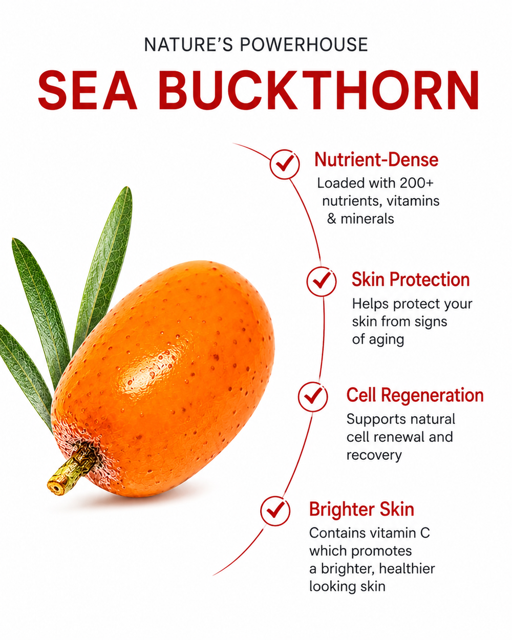benefits of Seabuckthorn 